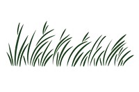 Grass plant white background wheatgrass. AI generated Image by rawpixel.
