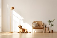Golden dog in minimal living room furniture animal mammal. AI generated Image by rawpixel.
