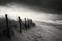 Beach outdoors nature coast. 