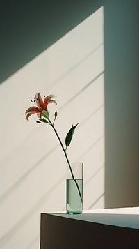 Flower in livingroom plant vase fragility. AI generated Image by rawpixel.