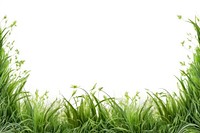 Grass frame border backgrounds landscape outdoors. AI generated Image by rawpixel.