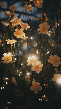 Aesthetic night minimal flowers light lighting outdoors. AI generated Image by rawpixel.