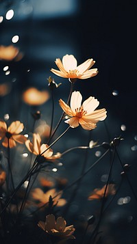 Aesthetic night minimal flowers outdoors blossom nature. AI generated Image by rawpixel.