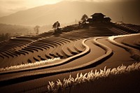 Rice terrace agriculture landscape outdoors. AI generated Image by rawpixel.