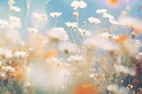 White flowers with a lush pale field outdoors blossom nature. AI generated Image by rawpixel.