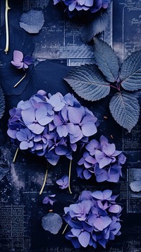 Purple hydrangea flowers petal plant blue. AI generated Image by rawpixel.