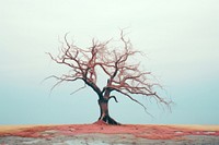 Alone dry tree in the raining landscape plant red. AI generated Image by rawpixel.