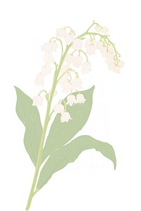 Lily of the valley flower plant white. AI generated Image by rawpixel.