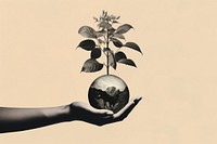 A hand holding the earth with a plant growing out of it leaf photography monochrome. AI generated Image by rawpixel.