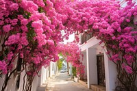Pink flower bougainvillea architecture building. AI generated Image by rawpixel.