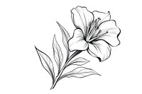 Vintage exotic flower drawing sketch plant. AI generated Image by rawpixel.
