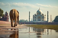Taj mahal elephant architecture wildlife. AI generated Image by rawpixel.