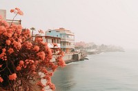 Coastal city and flowers architecture building outdoors. AI generated Image by rawpixel.