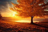 Autumn landscape tree sunlight outdoors. AI generated Image by rawpixel.