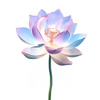 Lotus flower blossom petal. AI generated Image by rawpixel.
