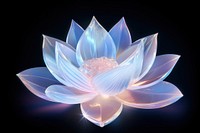 Lotus flower nature petal. AI generated Image by rawpixel.