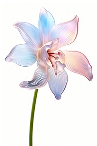 Snowdrop flower blossom orchid. AI generated Image by rawpixel.