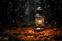 Lantern autumn plant leaf. AI generated Image by rawpixel.