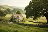 White english cottage grass tree architecture. 