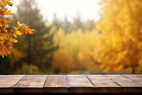 Autumn nature outdoors plant table. AI generated Image by rawpixel.