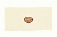 Coffee white background anthropomorphic rectangle. AI generated Image by rawpixel.