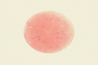 Watermelon petal magnification microbiology. AI generated Image by rawpixel.
