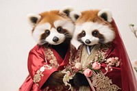 Red panda wearing chinese clothes animal wildlife costume. 