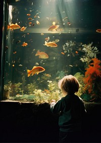 A kid in a aquarium animal fish transparent. AI generated Image by rawpixel.