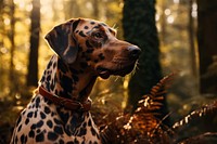 A dog animal mammal pet. AI generated Image by rawpixel.