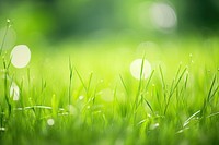 Grass green outdoors nature. AI generated Image by rawpixel.
