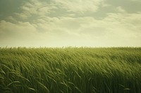 Green field landscape grassland outdoors. AI generated Image by rawpixel.