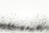 Grass field backgrounds plant tranquility. AI generated Image by rawpixel.