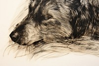 Dog sketch drawing mammal. AI generated Image by rawpixel.