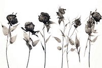 Dried flowers drawing sketch plant. AI generated Image by rawpixel.