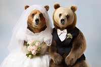 Baby bear wedding animal portrait. AI generated Image by rawpixel.