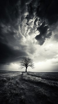 Storm sky landscape outdoors nature. 