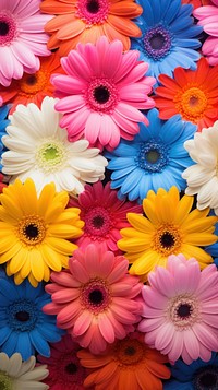 Gerbera flower backgrounds pattern. AI generated Image by rawpixel.