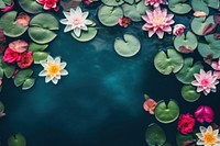 Flowers floating on river surface outdoors nature petal. AI generated Image by rawpixel.
