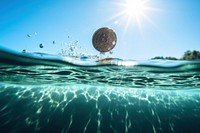 Coin outdoors nature water. AI generated Image by rawpixel.