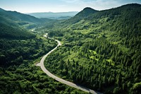 Forest tree road vegetation. AI generated Image by rawpixel.
