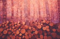 Wood backgrounds plant tree. AI generated Image by rawpixel.