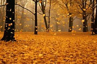 Autumn leaves backgrounds outdoors woodland. AI generated Image by rawpixel.
