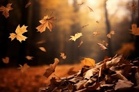 Autumn leaves backgrounds plant light. AI generated Image by rawpixel.