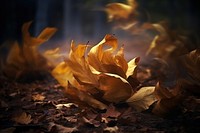 Autumn leaves plant light leaf. AI generated Image by rawpixel.