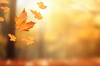 Autumn leaves backgrounds sunlight plant. AI generated Image by rawpixel.