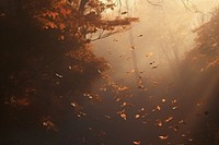 Autumn leaves backgrounds landscape sunlight. AI generated Image by rawpixel.