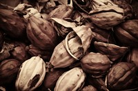 Hawaiian Cocao Pods plant food backgrounds. AI generated Image by rawpixel.