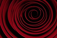 Red rose spiral backgrounds concentric. AI generated Image by rawpixel.