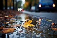 Rain water on ground vehicle autumn puddle. 