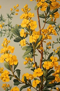 Yellow flowers backgrounds painting pattern. 